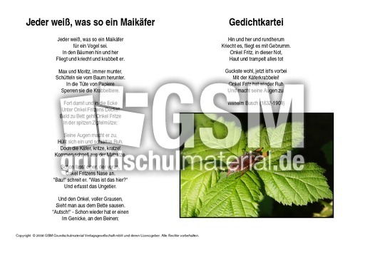 Jeder-weiß-was-so-ein-Maikäfer-Busch.pdf
